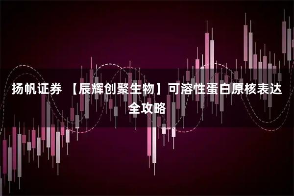 扬帆证券 【辰辉创聚生物】可溶性蛋白原核表达全攻略