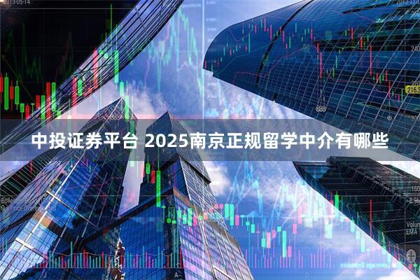 中投证券平台 2025南京正规留学中介有哪些