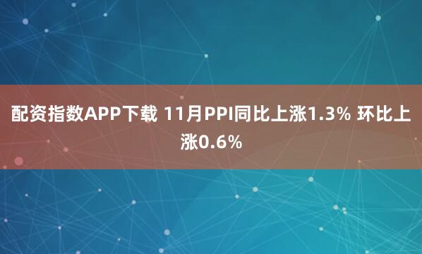 配资指数APP下载 11月PPI同比上涨1.3% 环比上涨0.6%