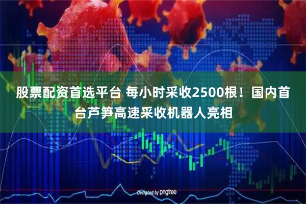 股票配资首选平台 每小时采收2500根！国内首台芦笋高速采收机器人亮相